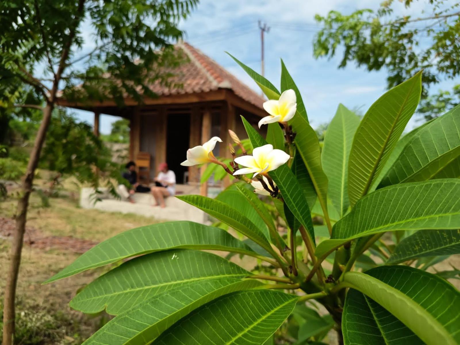 Hotel Melody Surf - Ekas Lombok Exterior foto